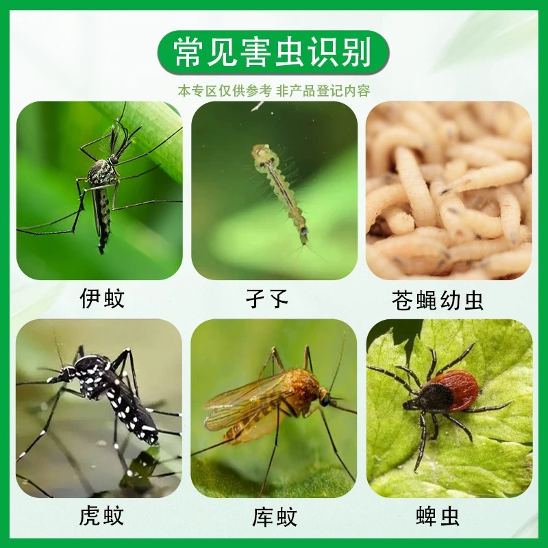 Feibiao 500g*20 bags/case insecticide granules fenthion kill mosquito larvae wrigglers maggots puddle mosquito