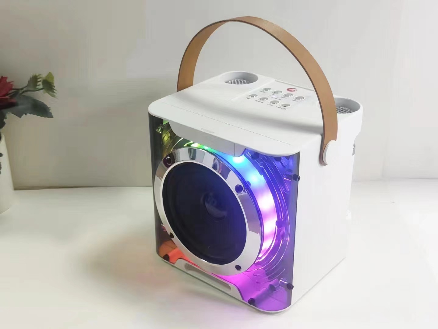 YS203 Bluetooth Speaker Home TV KTV All-in-One Set Dual Microphone A829 Bluetooth Speaker