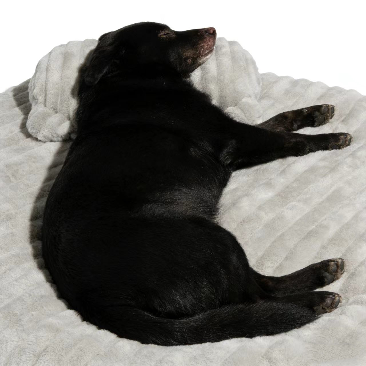 New pet dog peaceful sleep soft soothing U-shaped pillow pet neck protection plush cuddle pillow neck pillow