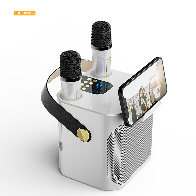 Double Person Karaoke Handle Speaker S882 Family Party Outdoor Dinner Portable Direct Hair