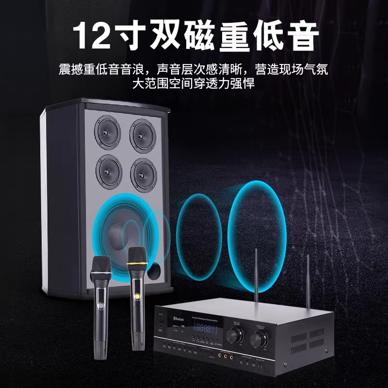 SAST K5 conference room audio home KTV speaker set complete dance teaching training room wall-mounted K-song audio set