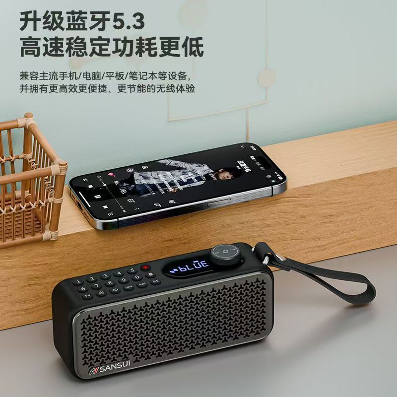 Shanshui F60 Radio for Elderly Charging Plug-in Dual Card Speaker Player Portable Bluetooth Speaker