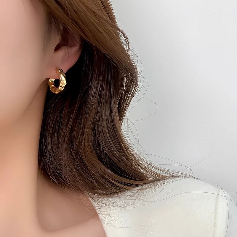 Earrings Women Metal Stud Earrings 925 Silver Needle Ear Accessories 2025 New