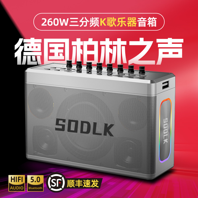 Shenlaike S1128 Digital Sound Card Bluetooth Speaker Outdoor High Power Square Dance Audio Portable Speaker