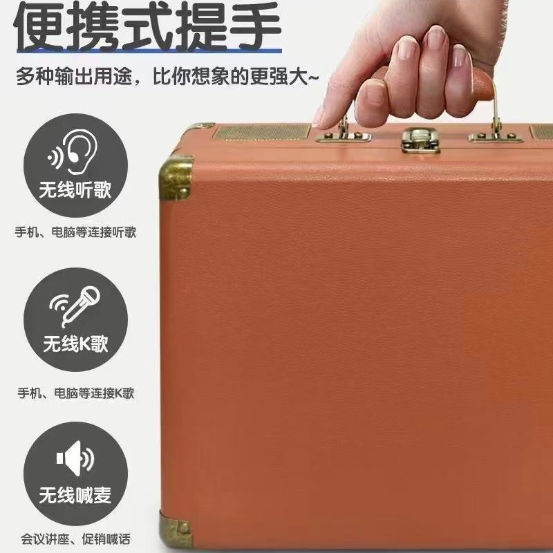 SD2109 Bluetooth Speaker Wireless Microphone Microphone Singing All-in-One Handheld Outdoor Portable K Song