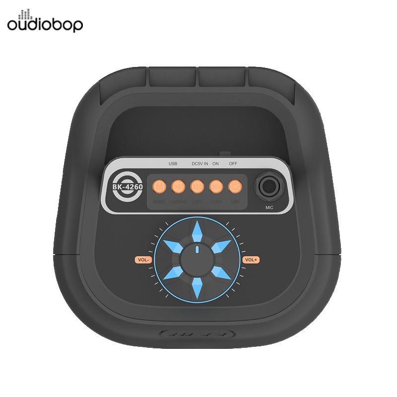 Mobile Multimedia Bluetooth Speaker with RGB, USB, BT, FM
