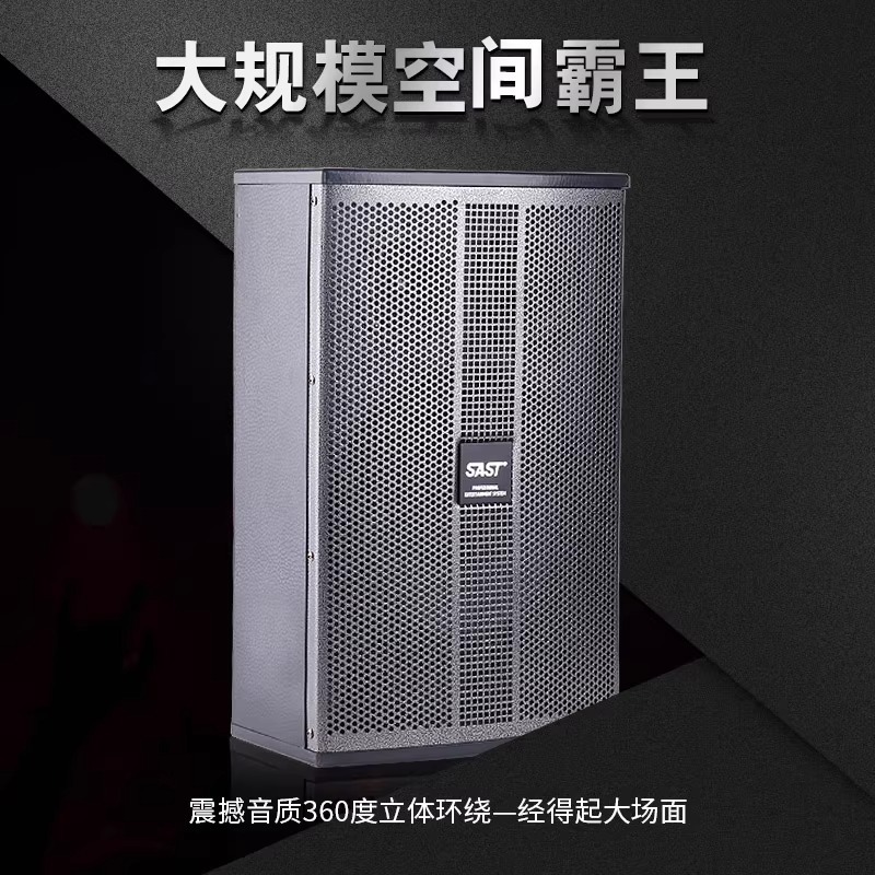 SAST K5 conference room audio home KTV speaker set complete dance teaching training room wall-mounted K-song audio set