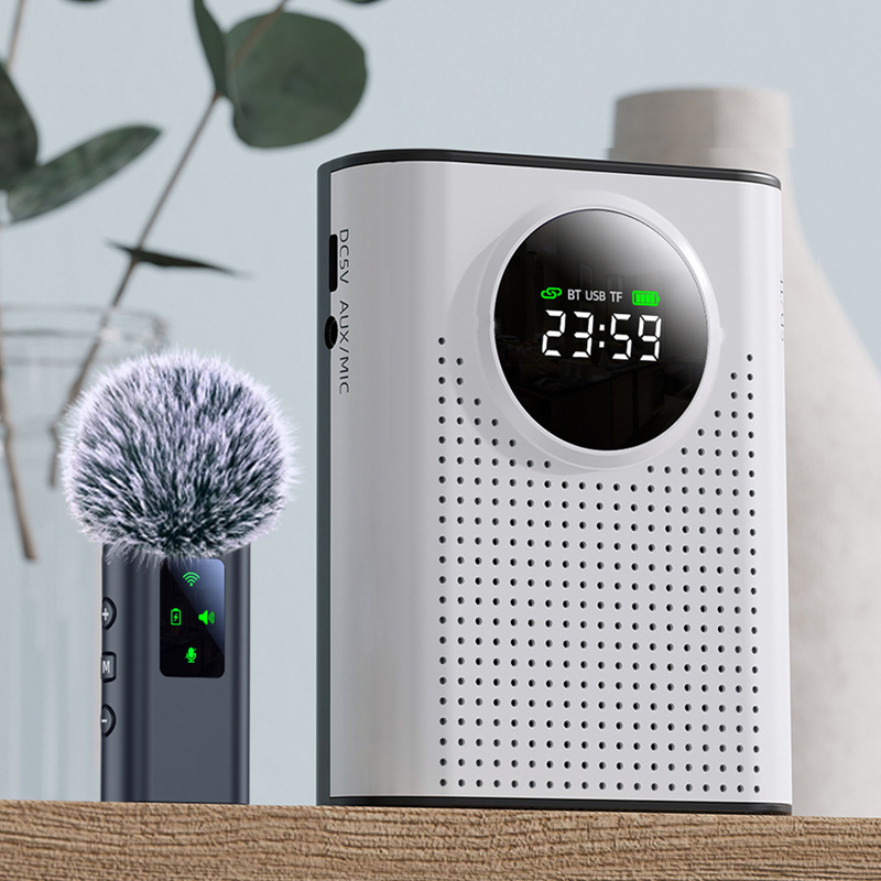 New Amplifier Bee Wireless Microphone for Teachers Tour Guides Outdoor Bluetooth No Howling Speaker