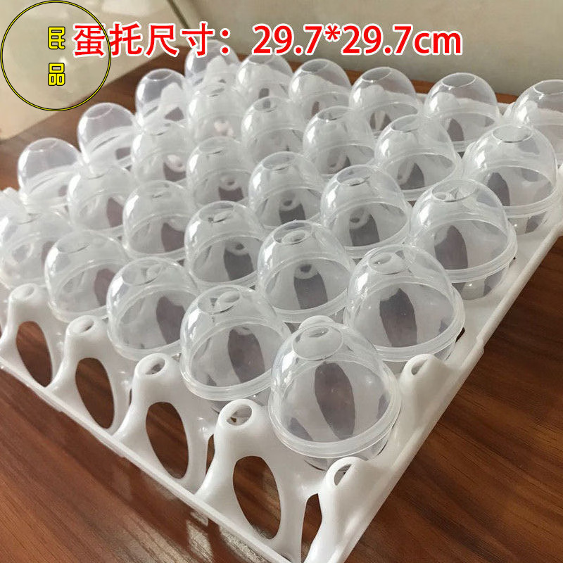 Stone egg mold plastic non-leaking non-stick high temperature aging resistant food grade steamed egg shell solid