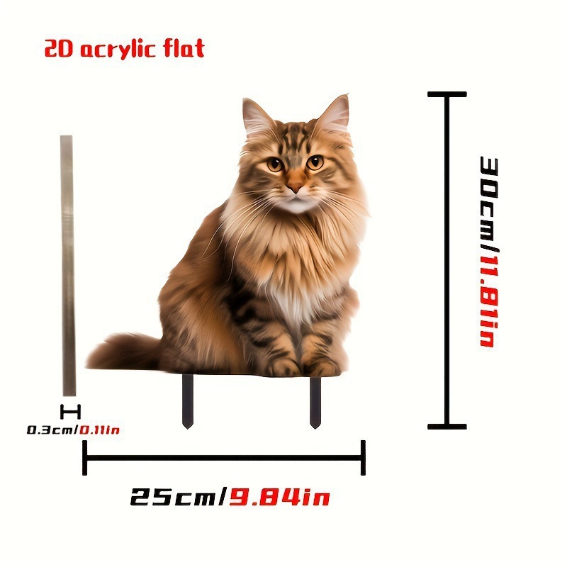 34_30*30*0.2cm