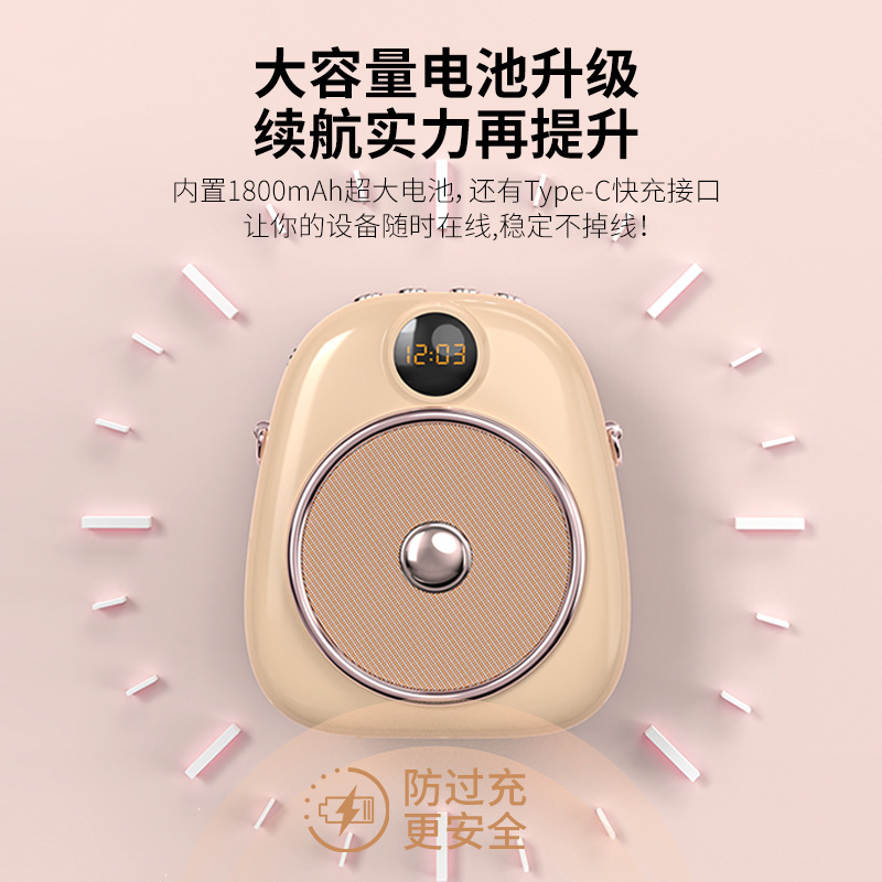 SOAIY S655 Mini Amplifier for Teachers Special Microphone Teacher Class Lecture Tour Guide Headset