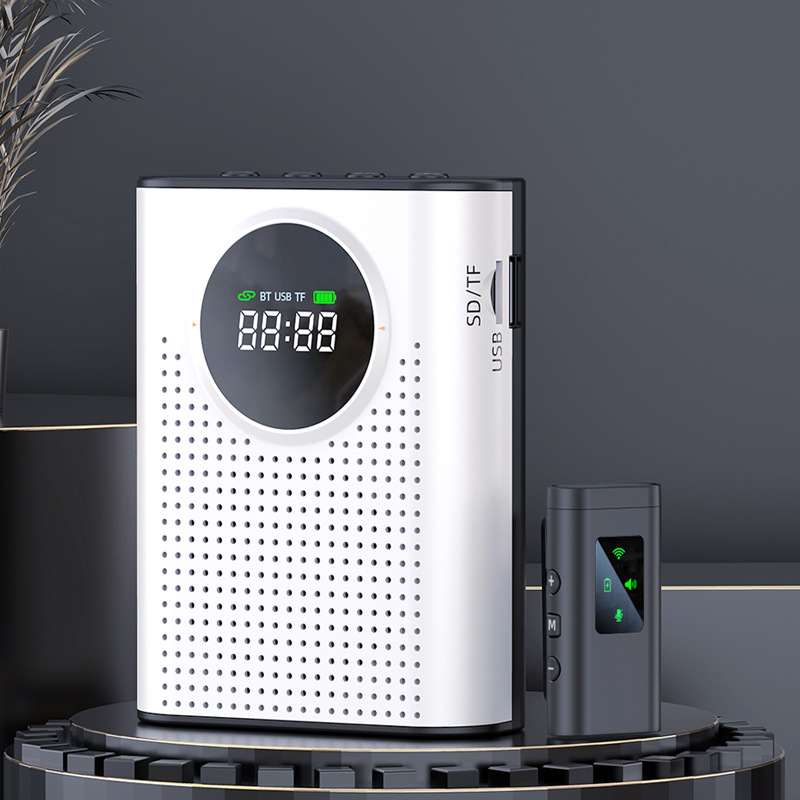 New Amplifier Bee Wireless Microphone for Teachers Tour Guides Outdoor Bluetooth No Howling Speaker
