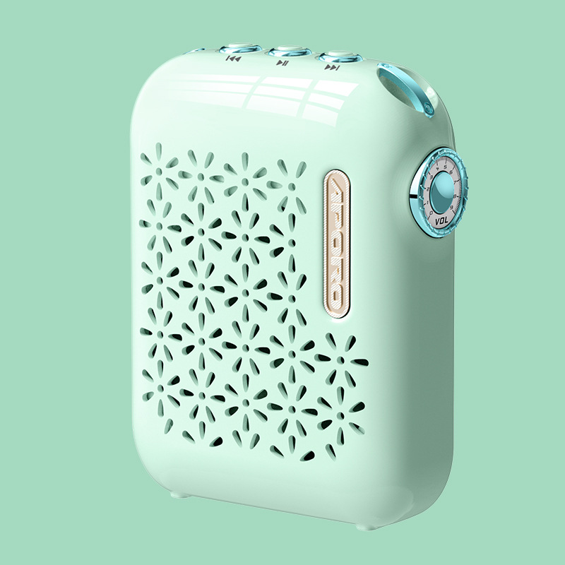 New Product Small Bee Amplifier Teacher Special Wireless Headset Microphone Teaching Tour Guide Speaker Loudspeaker T26