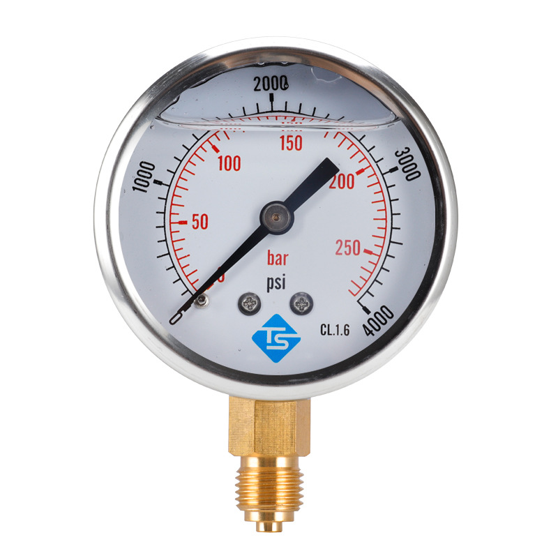 TS-PGG604-250bar