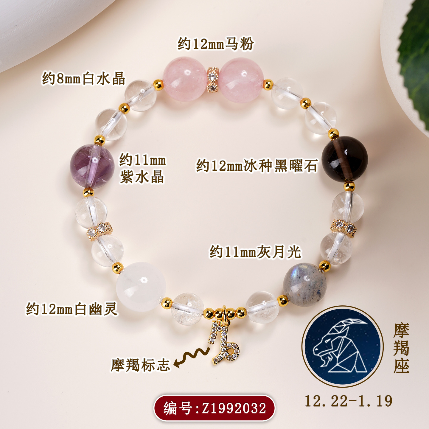 Z1992【摩羯座】12.22-1.19
