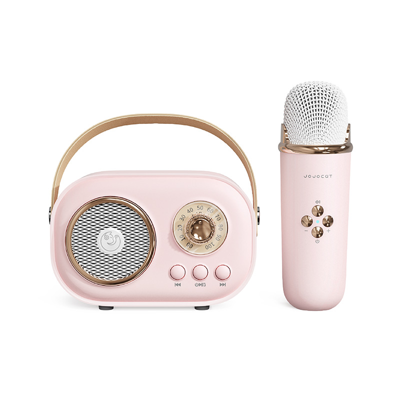 C20plus Speaker Wireless Bluetooth Speaker Microphone All-in-One Children's KTV Microphone Gift for Girls Bass