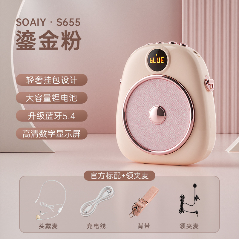 SOAIY S655 Mini Amplifier for Teachers Special Microphone Teacher Class Lecture Tour Guide Headset