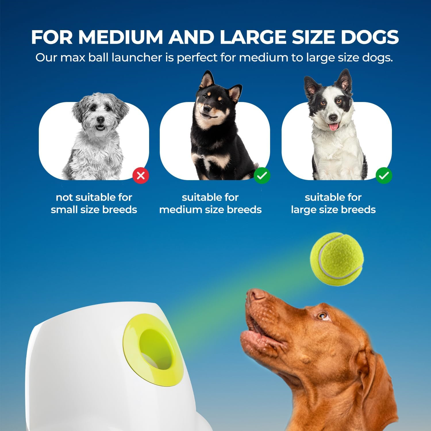 AFP Large Dog Automatic Ball Launcher for Big Dogs 6.5cm Tennis Ball Thrower Pet Indoor Outdoor Training