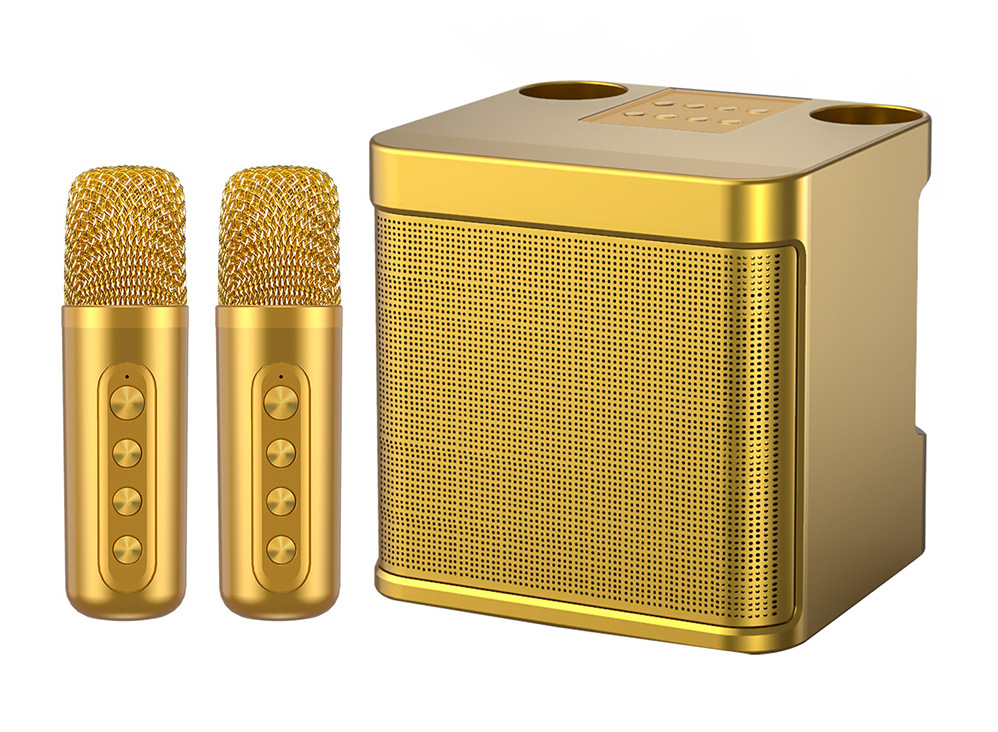 Premium Wireless Bluetooth Outdoor KTV Home Entertainment Good Sound Quality Voice Changer KTV Speaker