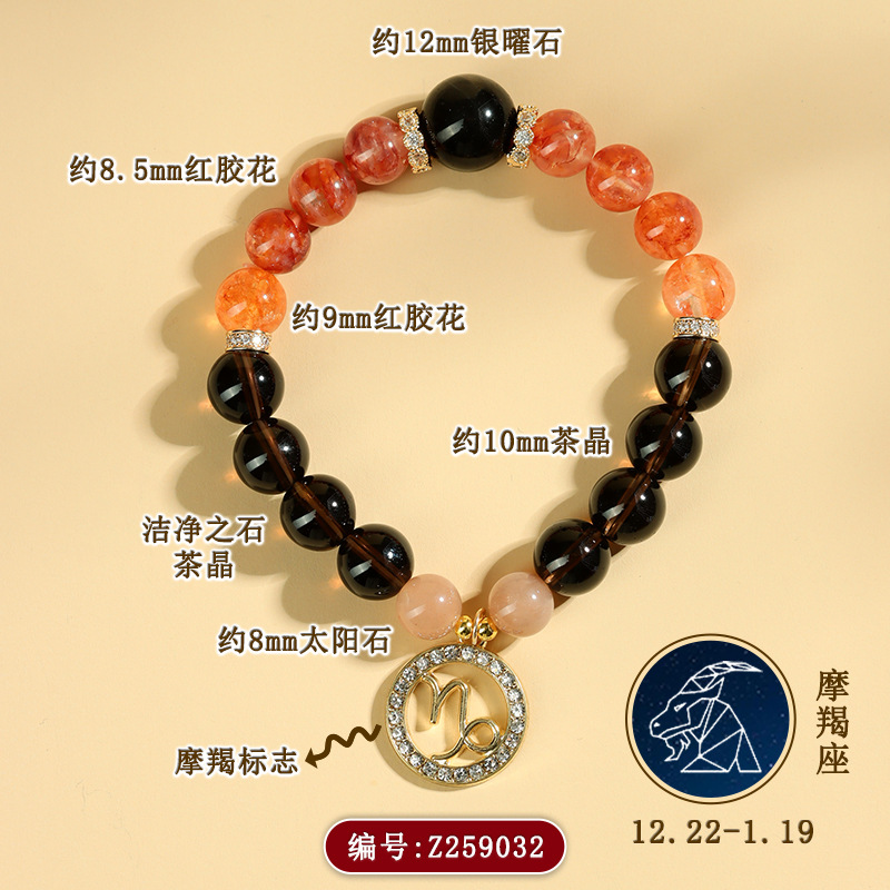 Z259【摩羯座】12.22-1.19