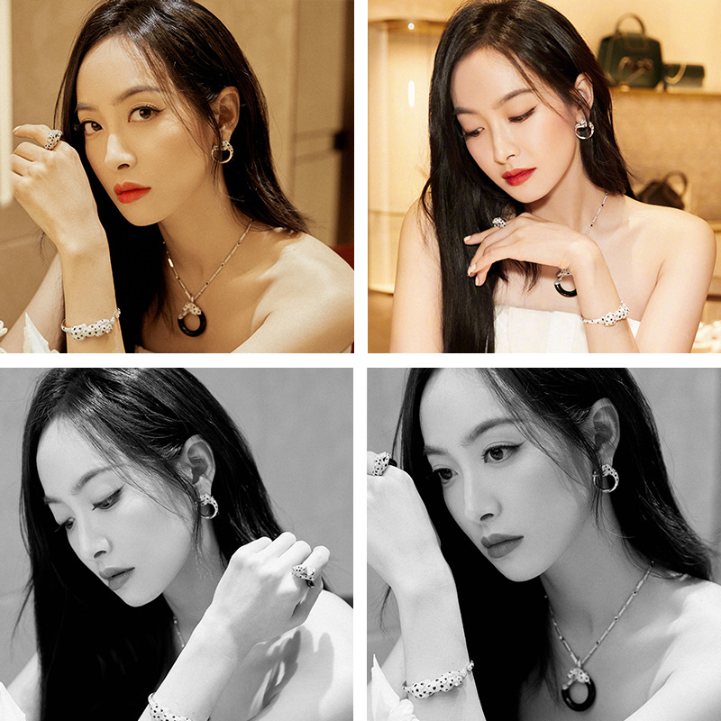S925 silver needle heavy earrings ear accessories Song Qian jewelry leopard hoop earrings for women