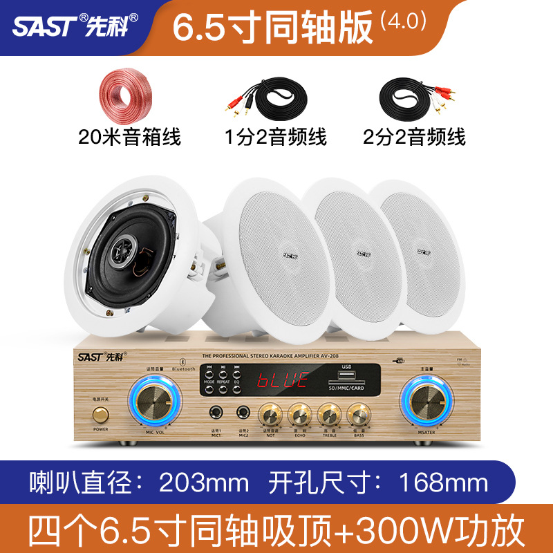 SAST 5.1 home theater audio living room ceiling 3D surround stereo embedded subwoofer amplifier ceiling set