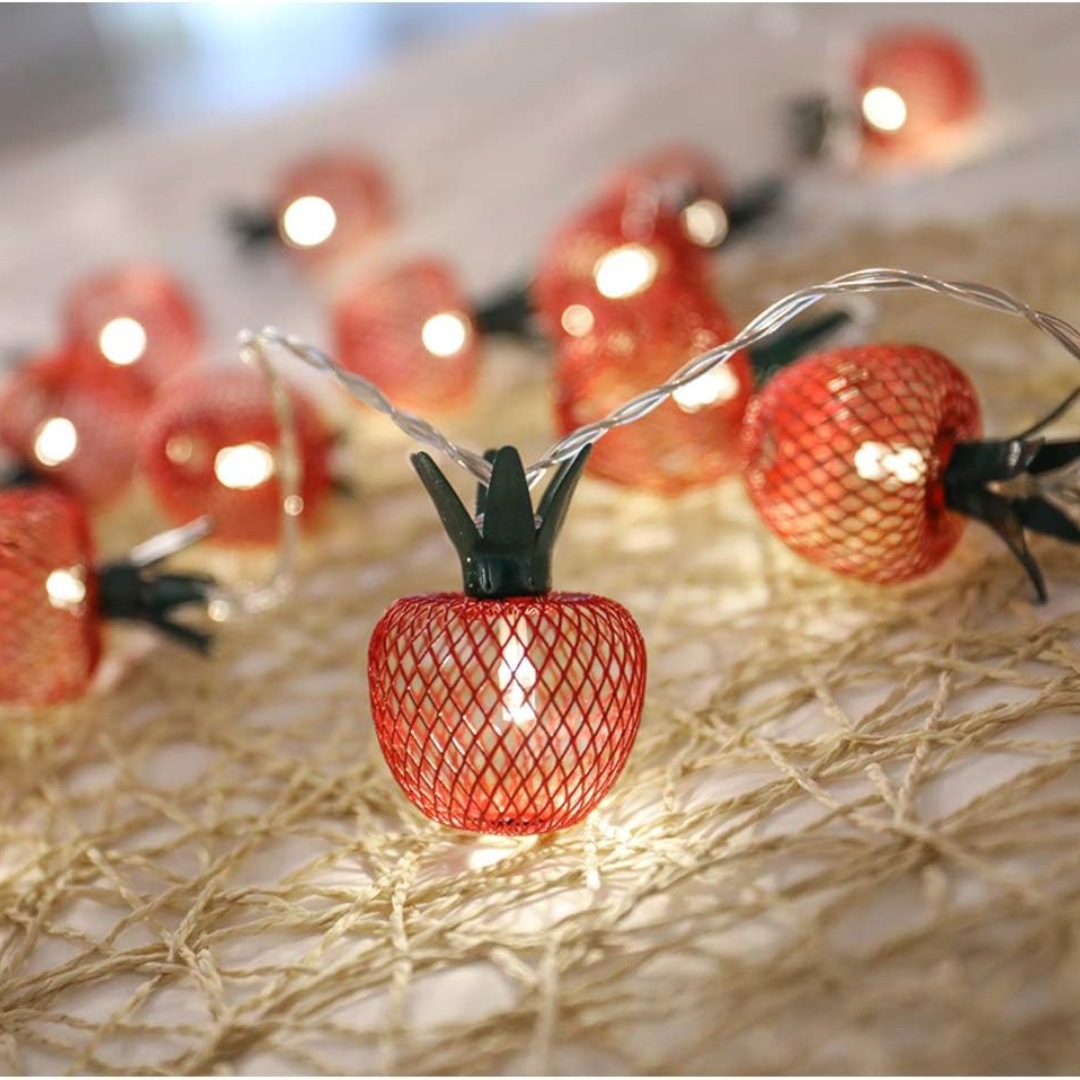 Grid Apple Light String USB Christmas Birthday Party Room Courtyard Decorative Lights Fruit Light String