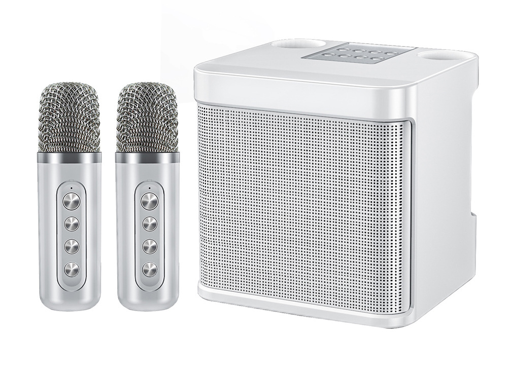 Premium Wireless Bluetooth Outdoor KTV Home Entertainment Good Sound Quality Voice Changer KTV Speaker