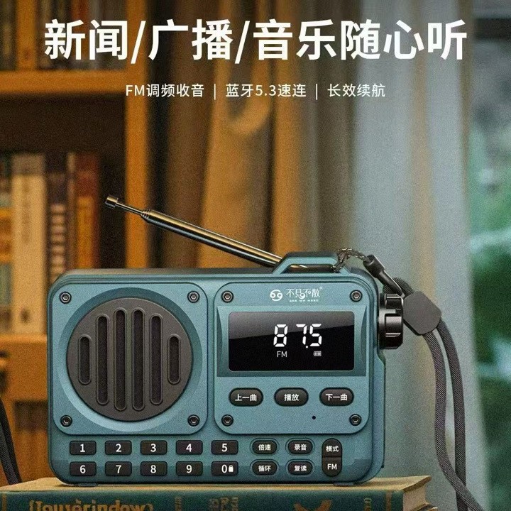 BUBUJIAN SAN BV800P Mini Bluetooth Speaker Portable Elderly Radio Multifunctional Card Slot Small Audio