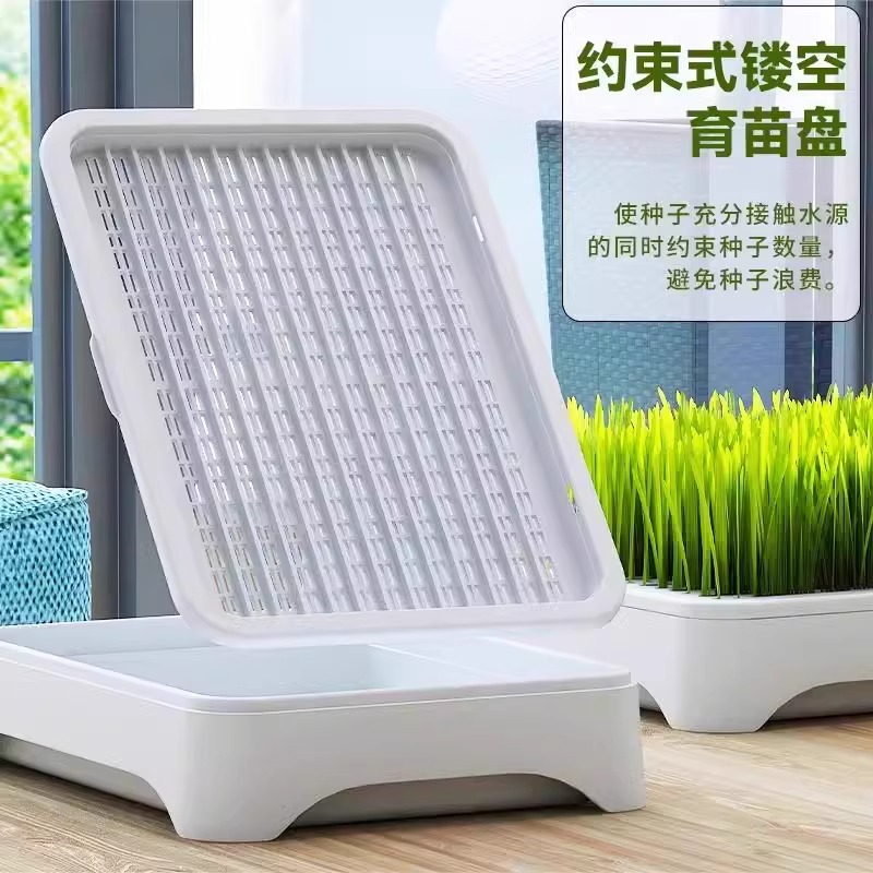 Soilless Hydroponic Cat Grass Potted Plant, Hairball Removal, Lazy Planting, Cat Grass Seeds, Seedling Tray, Hairball Grass, Pet Supplies