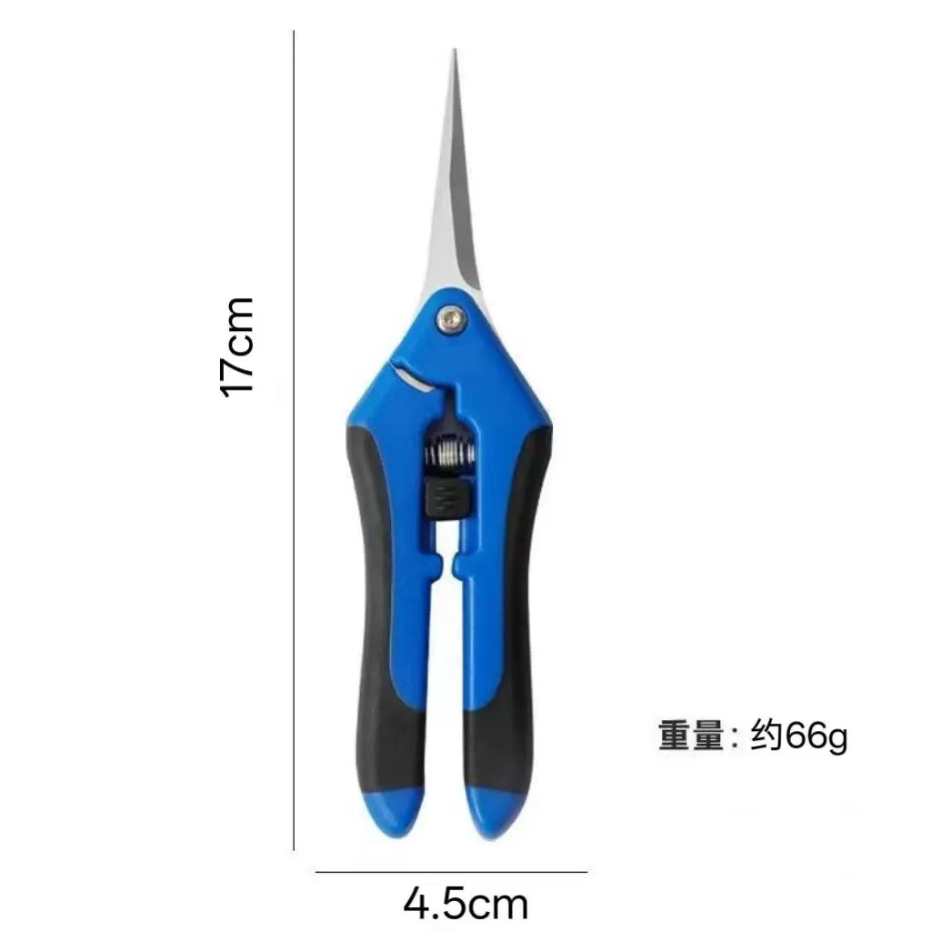 New Stainless Steel Pointed Scissors Multi-purpose Orchard Fruit Picking Scissors Garden Horticultural Flower Pruning Scissors