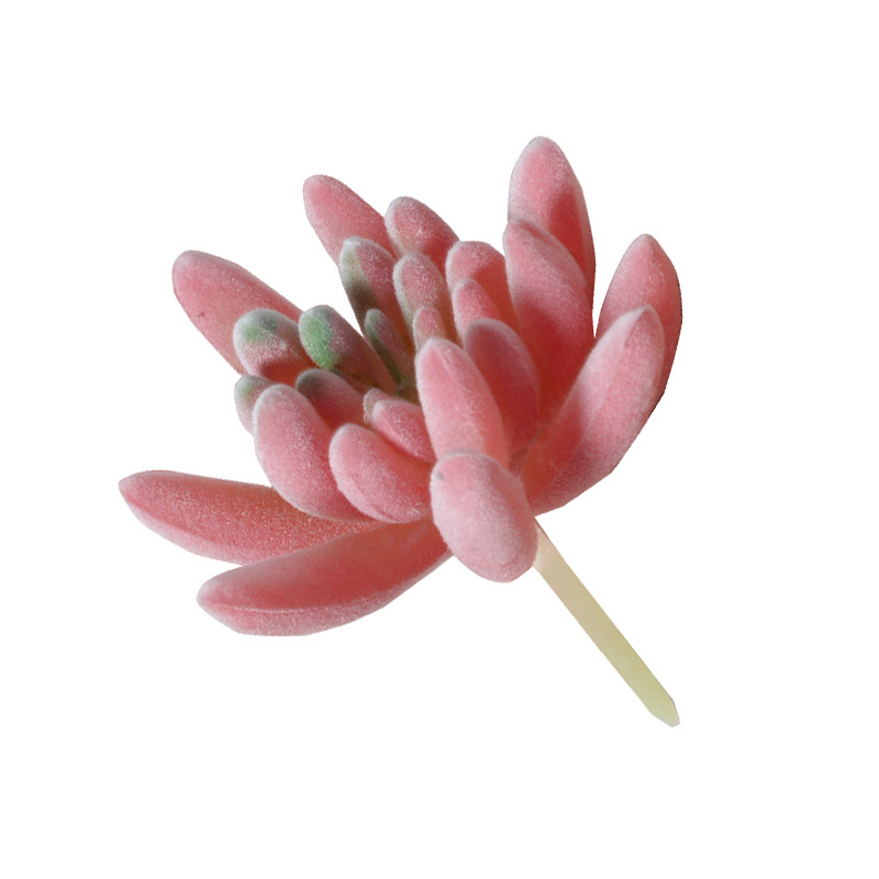 Succulent Red Series Flocked Plant Green Plant Home Decoration Mini Ornament Combination Artificial Potted Plant