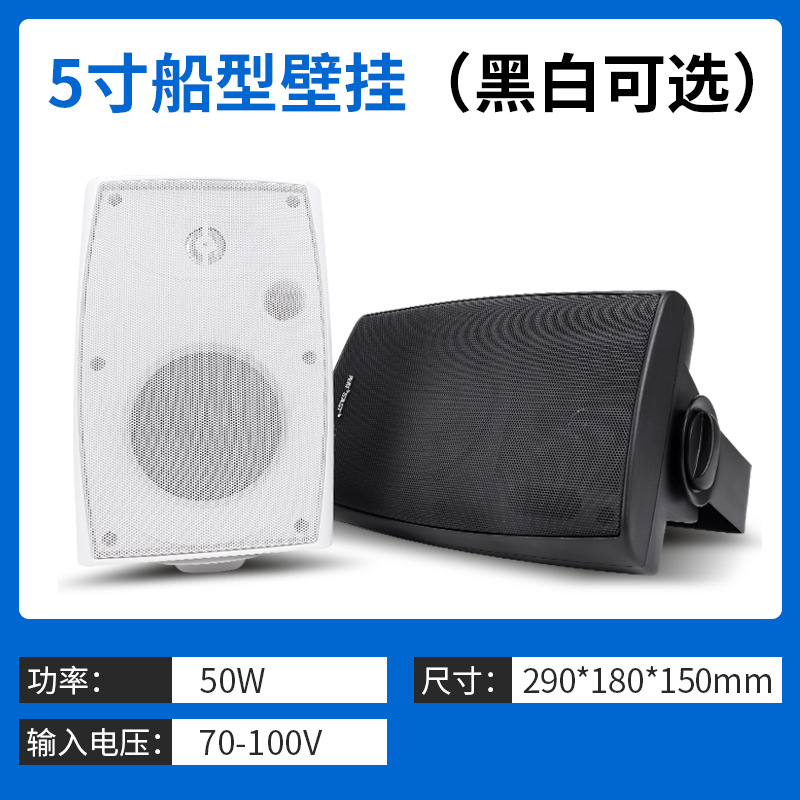 至尊版壁挂音箱 P50 5寸 30W