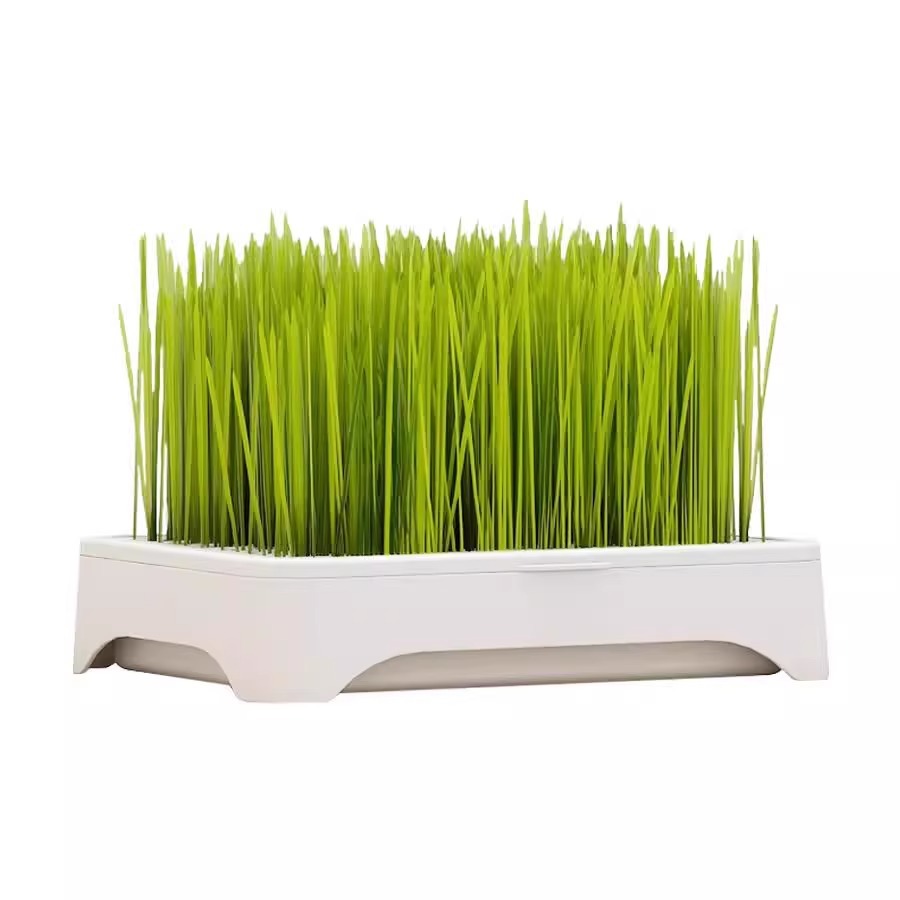 Soilless Hydroponic Cat Grass Potted Plant, Hairball Removal, Lazy Planting, Cat Grass Seeds, Seedling Tray, Hairball Grass, Pet Supplies