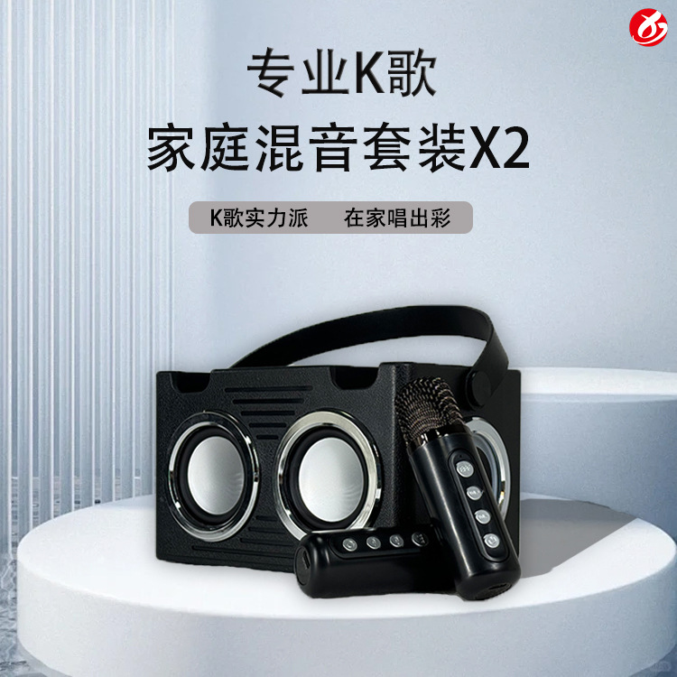 Bluetooth speaker with microphone all-in-one portable Bluetooth speaker 203 home KTV audio