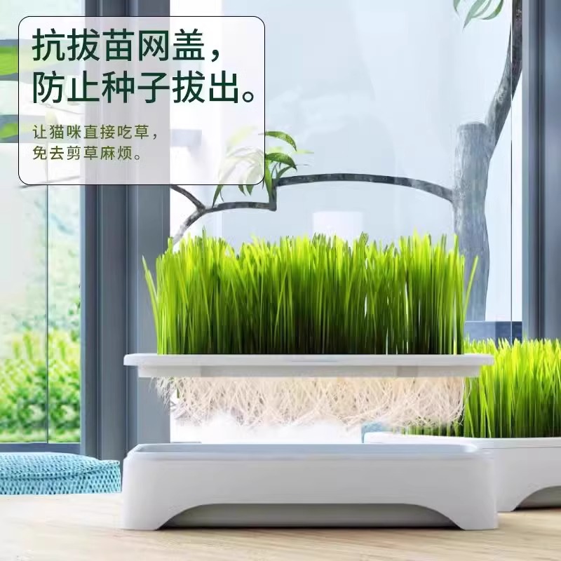 Soilless Hydroponic Cat Grass Potted Plant, Hairball Removal, Lazy Planting, Cat Grass Seeds, Seedling Tray, Hairball Grass, Pet Supplies