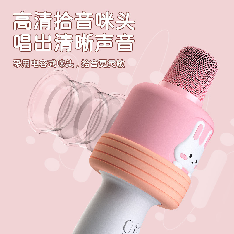Exclusive Microphone All-in-One Microphone Home Outdoor K Song Wireless Bluetooth Children's Pet Microphone Custom