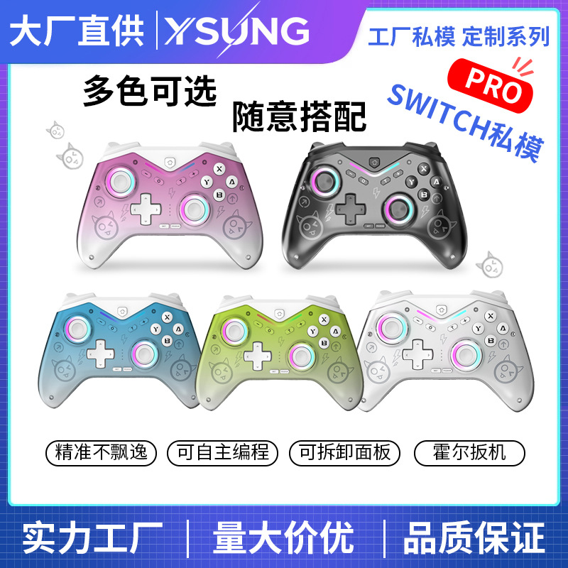 Private Mold SWITCH PRO Programmable Game Controller Switch Glow with Wake-Up Wireless Bluetooth Controller