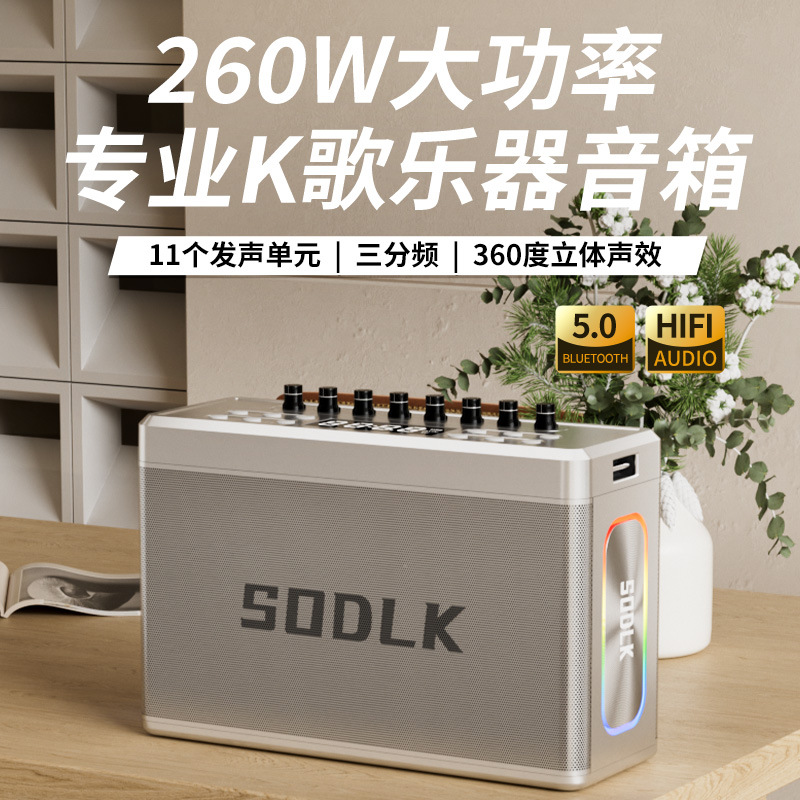 Shenlaike S1128 Digital Sound Card Bluetooth Speaker Outdoor High Power Square Dance Audio Portable Speaker