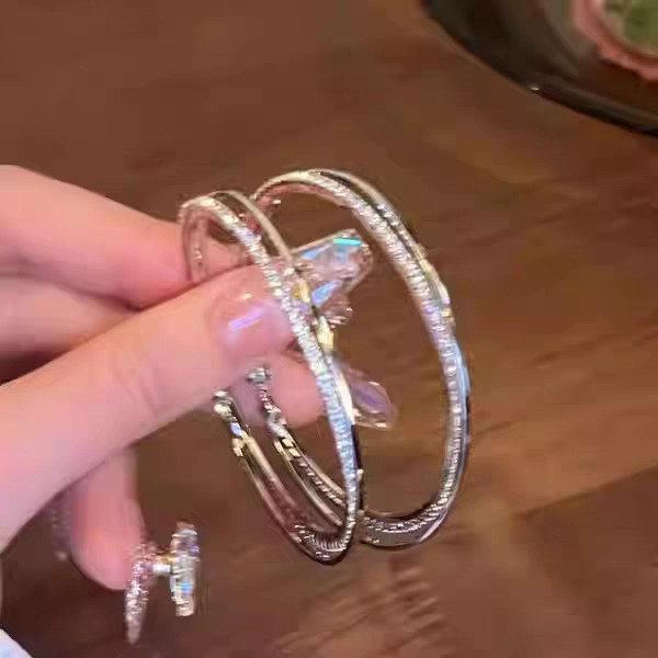 Large Hoop Earrings for Women Stud Earrings Unique Exaggerated Hoop Ear Accessories