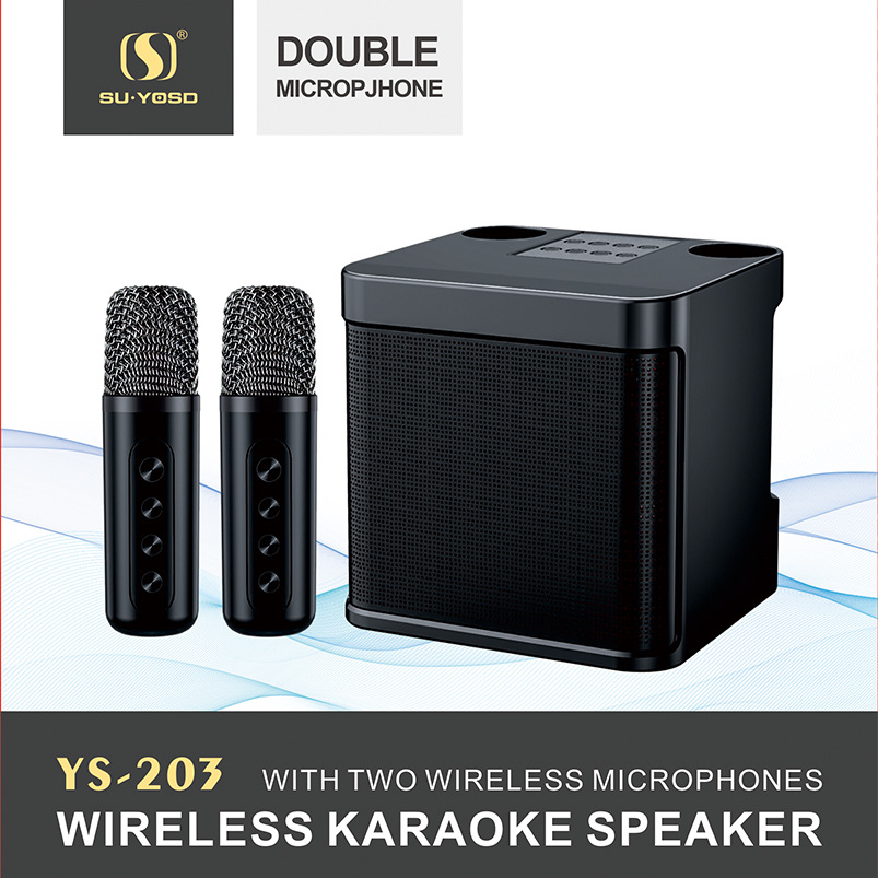 Premium Wireless Bluetooth Outdoor KTV Home Entertainment Good Sound Quality Voice Changer KTV Speaker