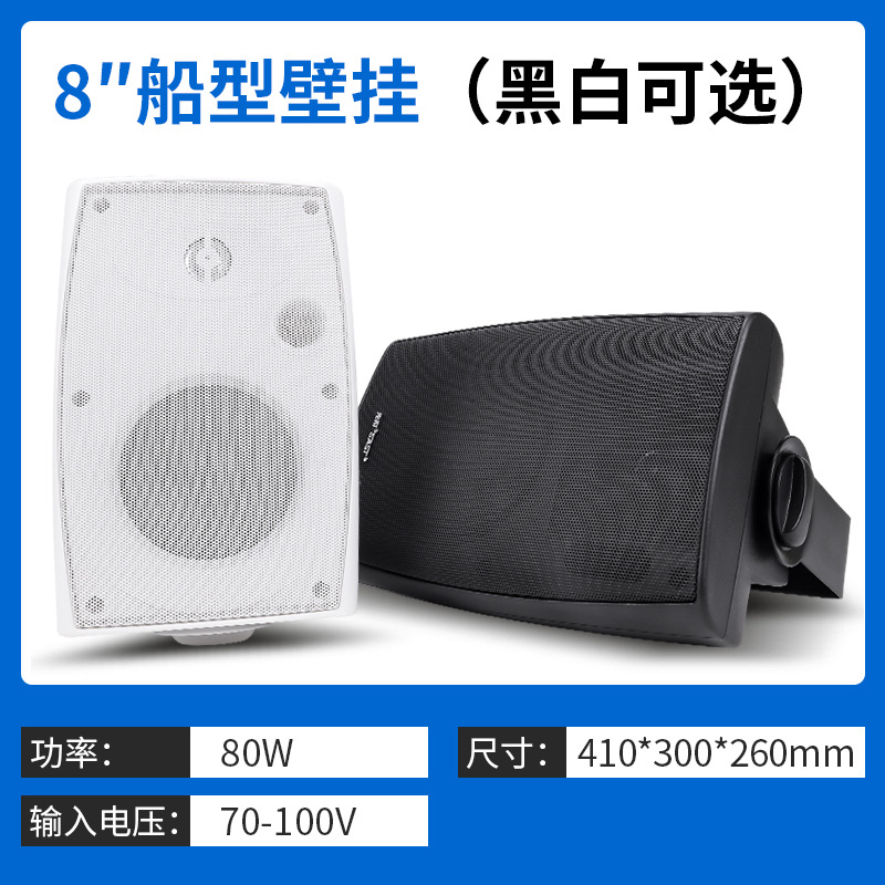 至尊版壁挂音箱 P80 8寸 50W