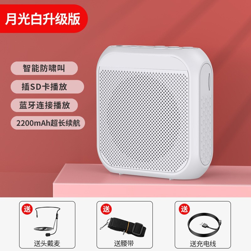 Noboxin S17 Bee Amplifier for Teacher Teaching, Tour Guide, Shopping Mall Waist-hanging Portable Sales Speaker Player