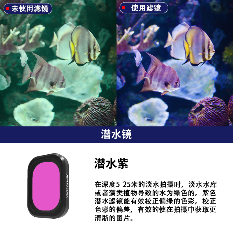 潜水紫  JSR-1909-55