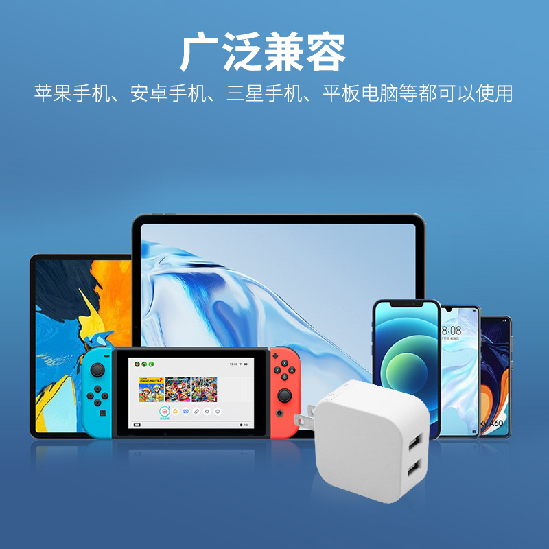 5V2.4A power adapter for Xiaomi phone charger USB head PSE certified charging head PSE certification