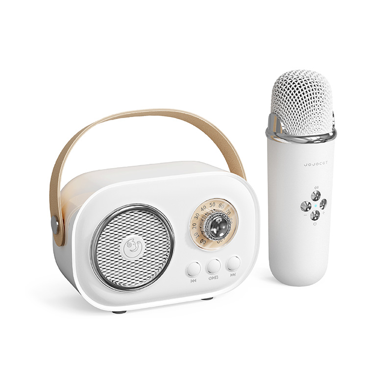 C20 Wireless Microphone Speaker All-in-One Wireless Bluetooth National K Song Children Singing Home Speaker