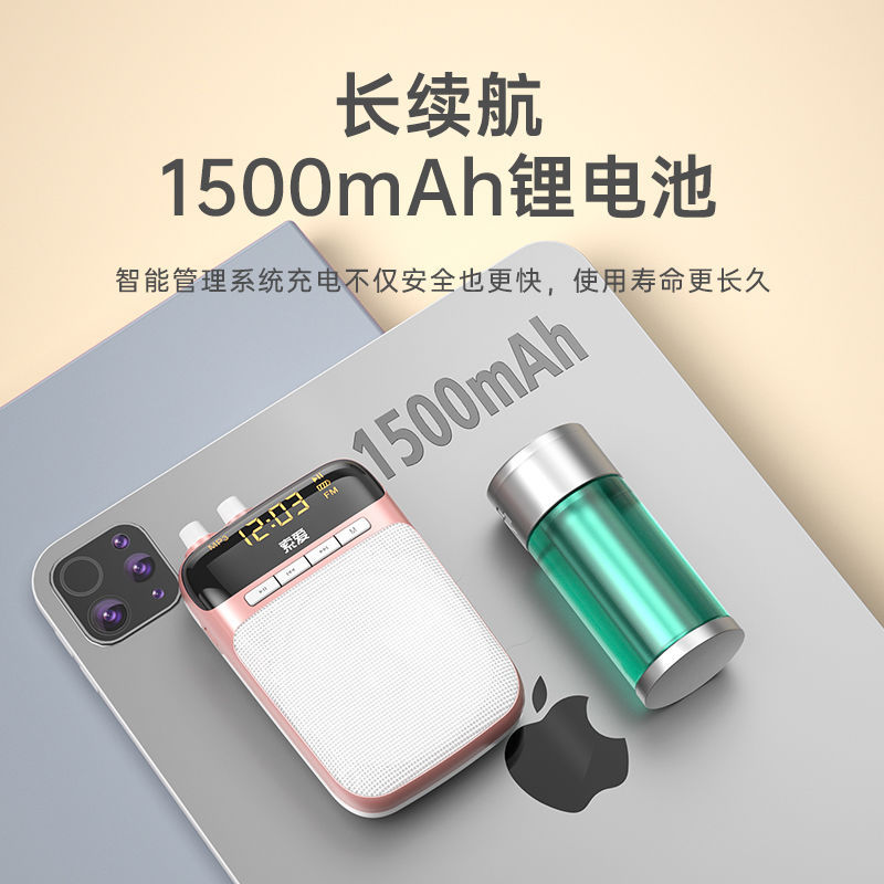SOAIY S318 Mini Amplifier for Teachers Wireless Headset Microphone Teaching Lecture Loud Speaker